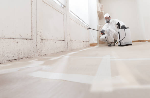 24/7 Emergency Crawl Space Mold Remediation experts in Mechanicsville, VA