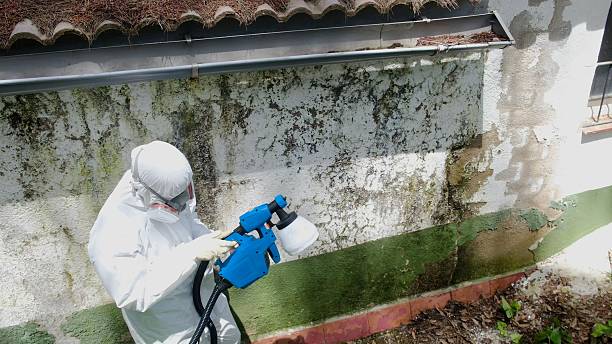 Top rated local Crawl Space Mold Remediation specialists in Mechanicsville, VA